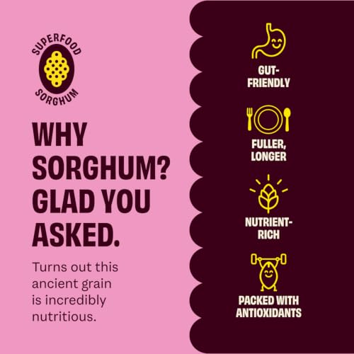 Sorghum Tortilla Chips – Corn-Free & Crispy