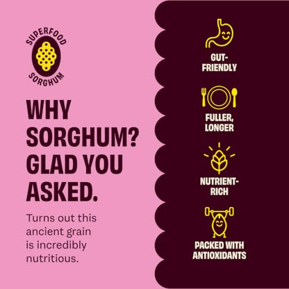Sorghum Tortilla Chips – Corn-Free & Crispy