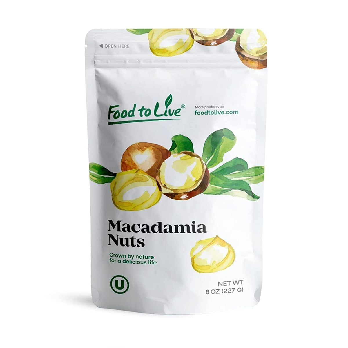 Macadamia Nut Halves & Pieces – Natural & Crunchy