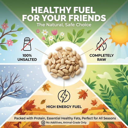 Raw Unsalted Peanuts – Natural Wildlife Feed