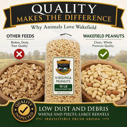 Raw Unsalted Peanuts – Natural Wildlife Feed