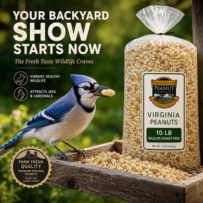 Raw Unsalted Peanuts – Natural Wildlife Feed