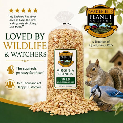 Raw Unsalted Peanuts – Natural Wildlife Feed