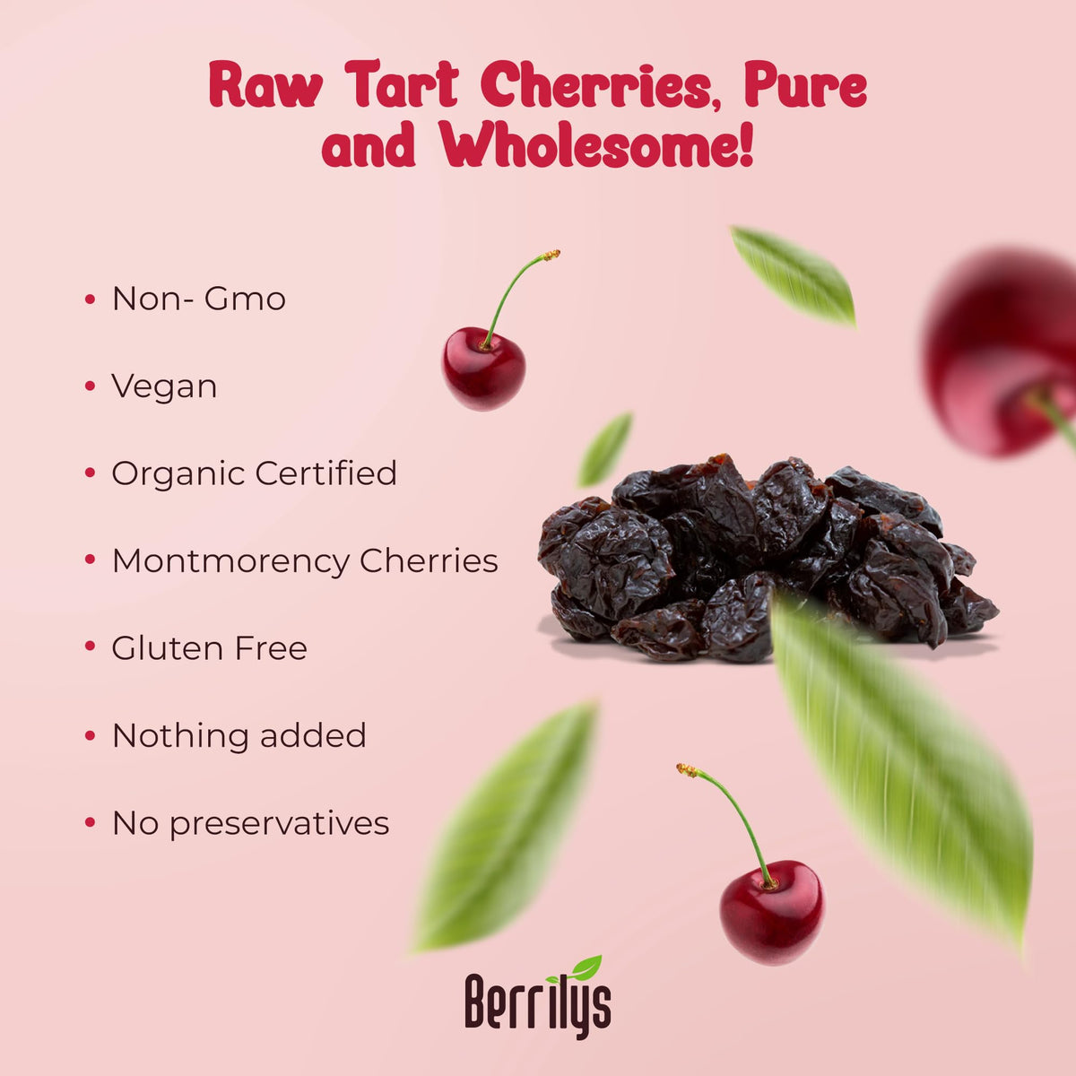 Organic Dried Tart Cherries – Unsweetened, 5 lb