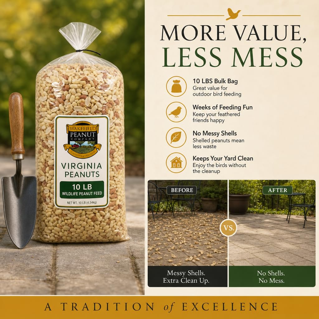 Raw Unsalted Peanuts – Natural Wildlife Feed