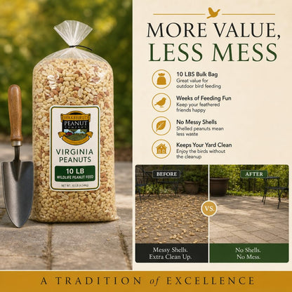 Raw Unsalted Peanuts – Natural Wildlife Feed