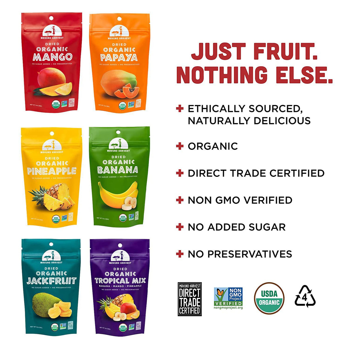 Organic Dried Fruit – Direct Trade & Naturally Sweet