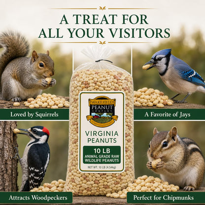 Raw Unsalted Peanuts – Natural Wildlife Feed