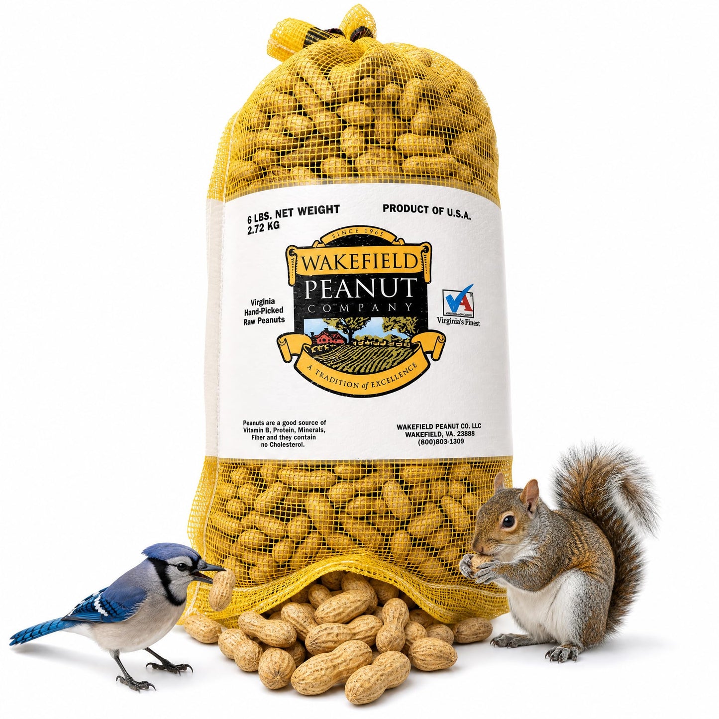 Raw Unsalted Peanuts – Natural Wildlife Feed