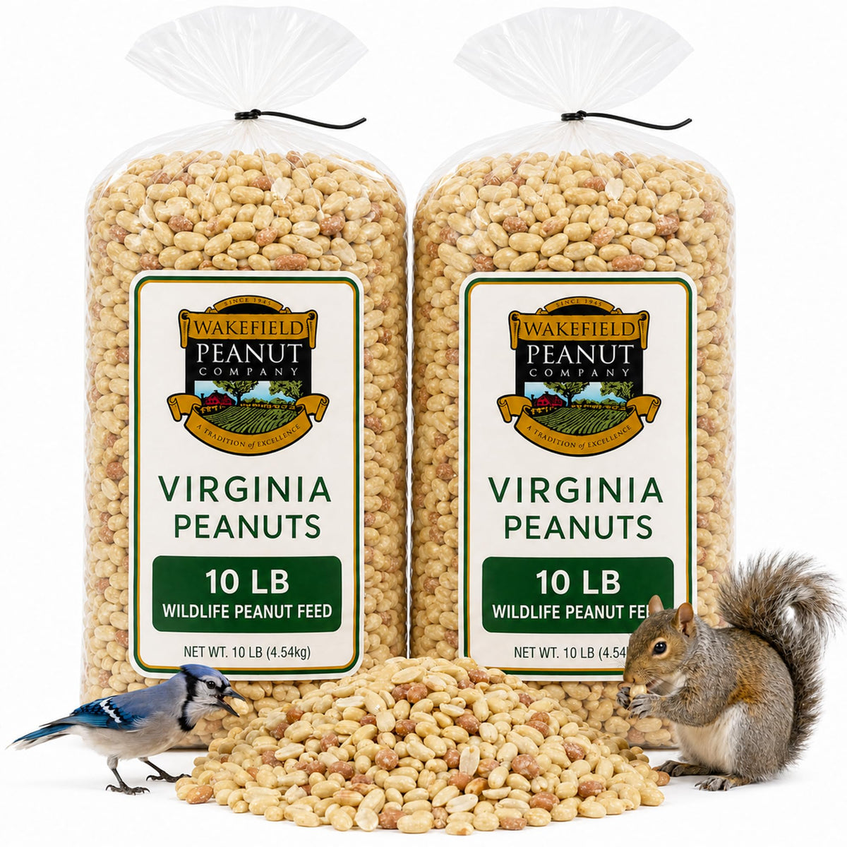 Raw Unsalted Peanuts – Natural Wildlife Feed