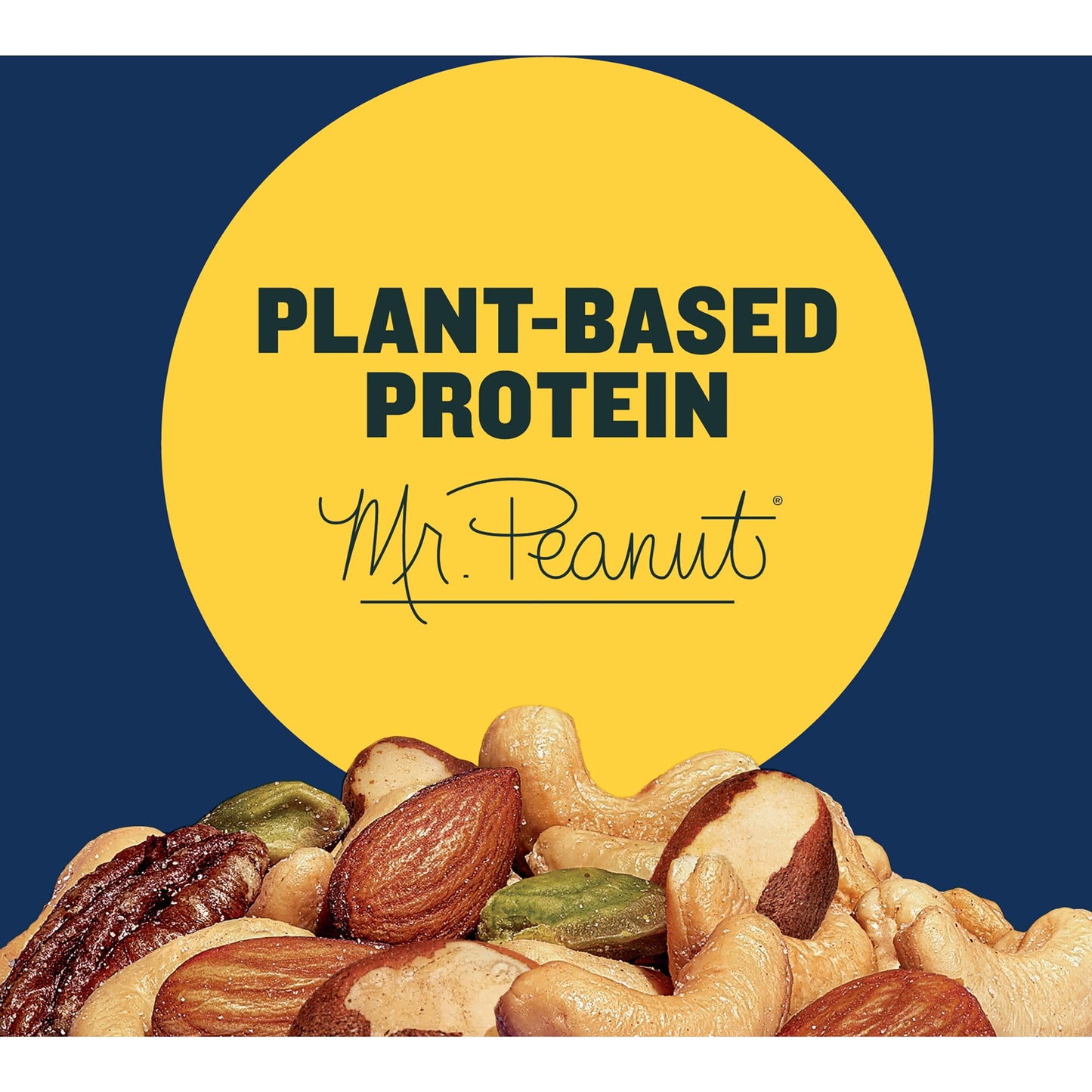 Salted Mixed Nuts – Plant-Based Protein, 27 oz