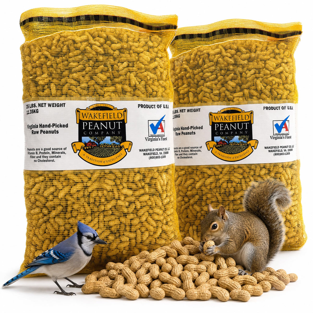Raw Unsalted Peanuts – Natural Wildlife Feed
