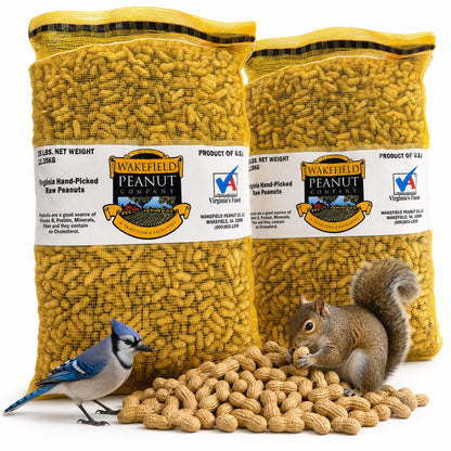 Raw Unsalted Peanuts – Natural Wildlife Feed