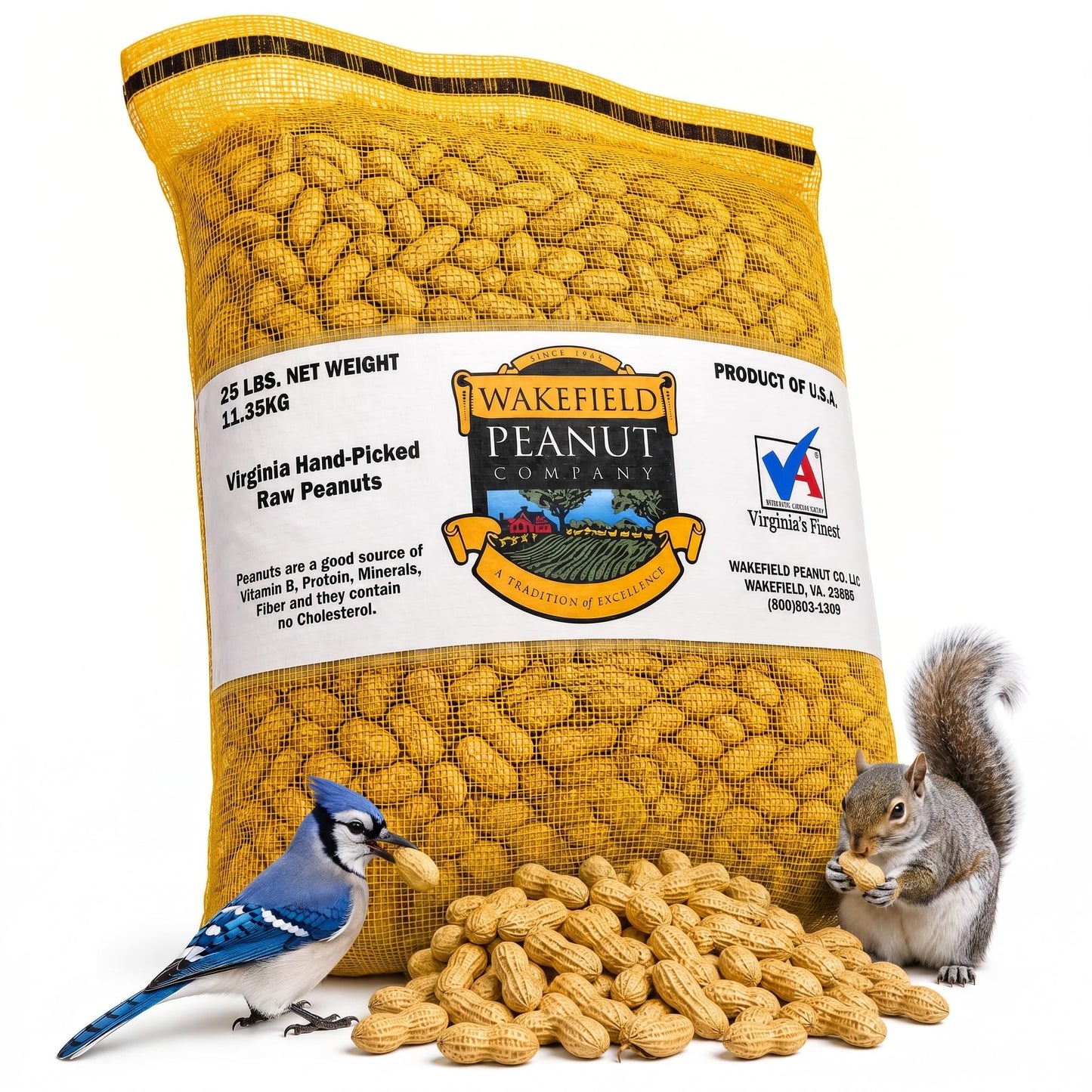 Raw Unsalted Peanuts – Natural Wildlife Feed